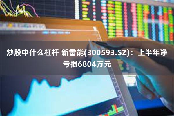 炒股中什么杠杆 新雷能(300593.SZ)：上半年净亏损6804万元
