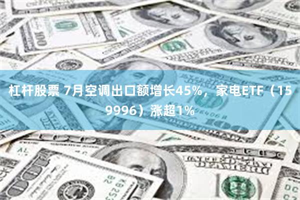 杠杆股票 7月空调出口额增长45%，家电ETF（159996）涨超1%