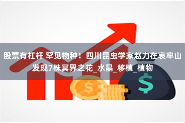 股票有杠杆 罕见物种！四川昆虫学家赵力在哀牢山发现7株冥界之花_水晶_移植_植物